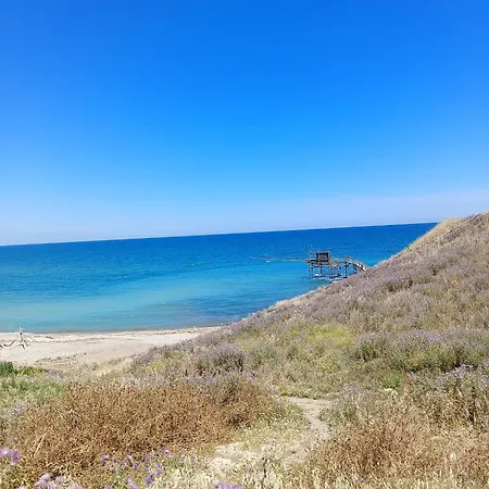 Il Vicolo * Vasto